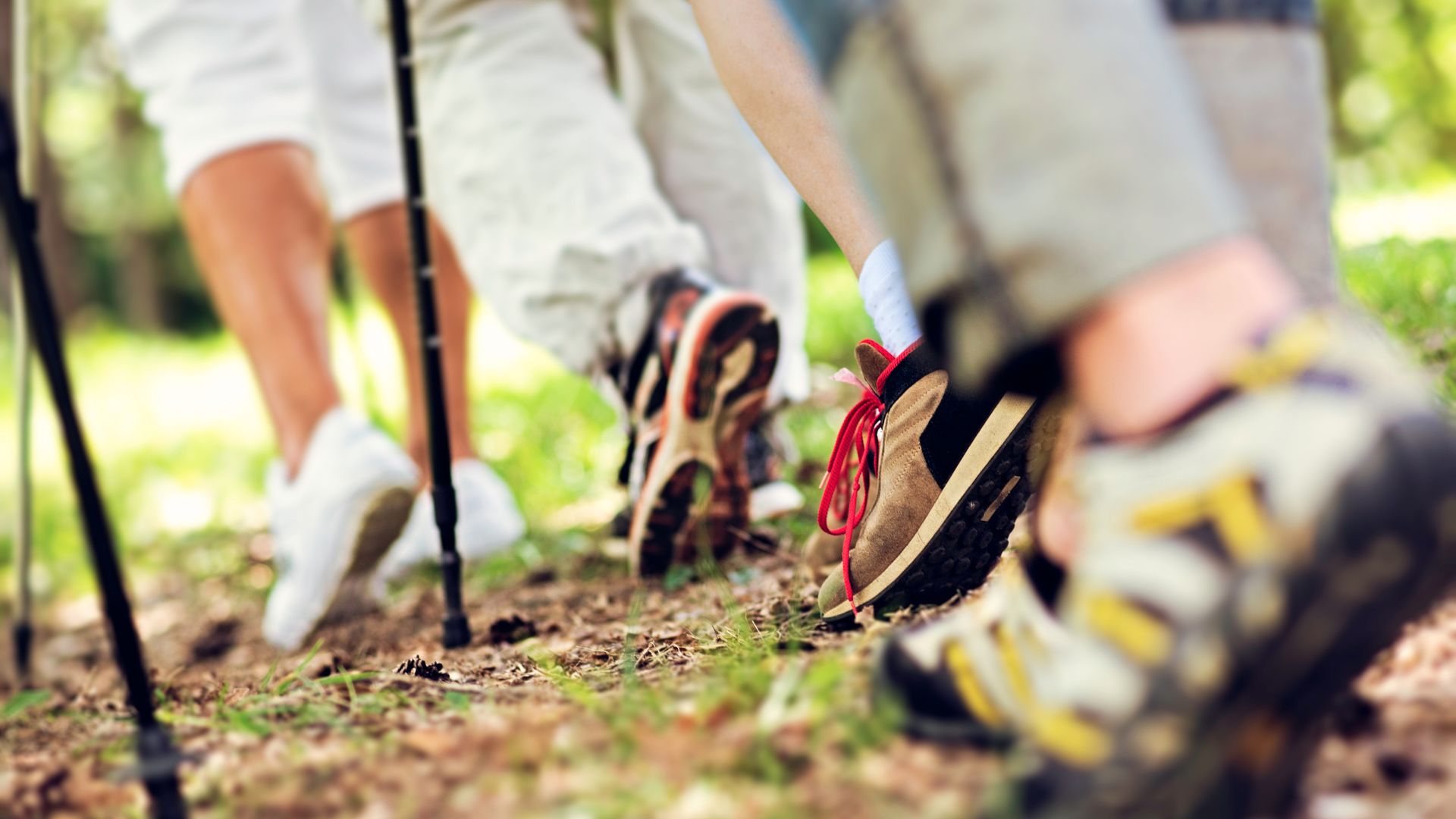 Nordic walking Inowrocław